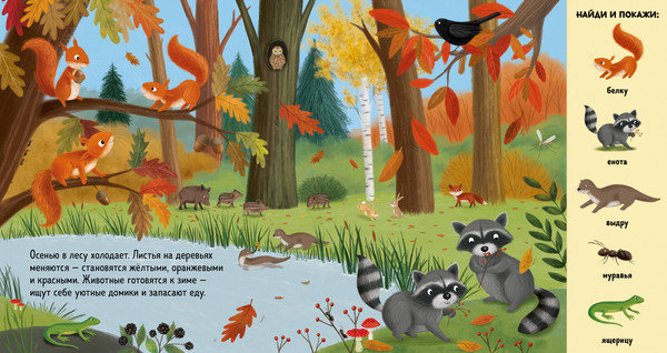 Изображение товара Развивающая книга CLEVER Найди и покажи. Животные в лесу, твердая обложка (Шуман Сибилла)