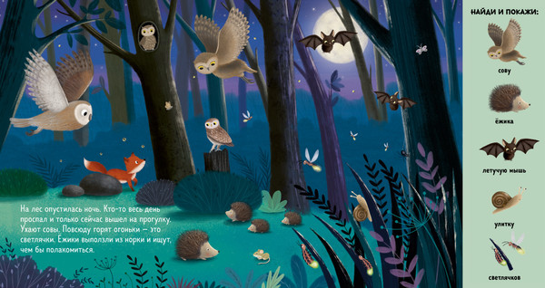 Изображение товара Развивающая книга CLEVER Найди и покажи. Животные в лесу, твердая обложка (Шуман Сибилла)