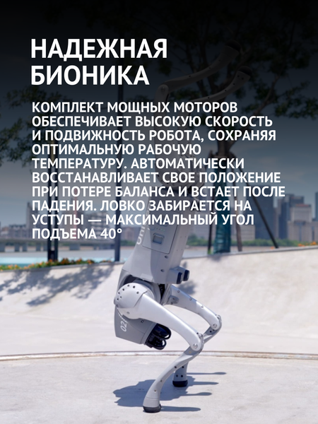 Изображение товара Игрушка на пульте управления Unitree Robotics Бионический робот собака Go2 Pro