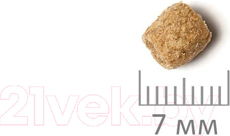 Изображение товара Сухой корм для кошек ProBalance Immuno с курицей и индейкой (400г)