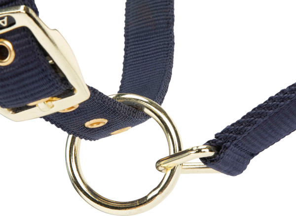 Изображение товара Недоуздок для лошади Arma Padded / 4176/NAVY/COB (синий)