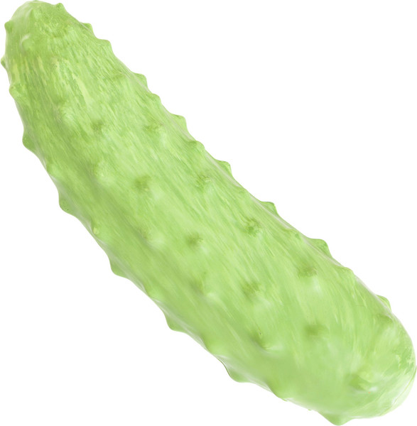 Изображение товара Игрушка для собак SkyRus Огурчик / MHJ020 (зеленый)