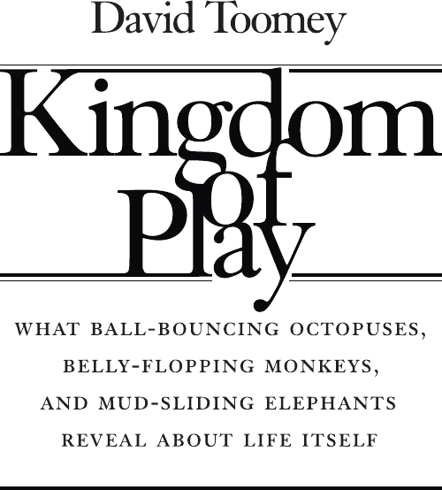 Изображение товара Книга АСТ Царство игры, твердая обложка (Туми Дэвид)