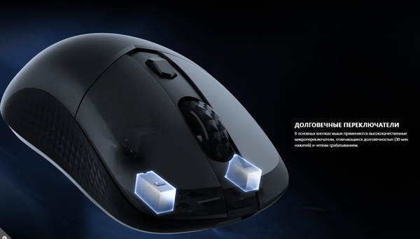 Изображение товара Мышь MSI Versa 300 W (черный)