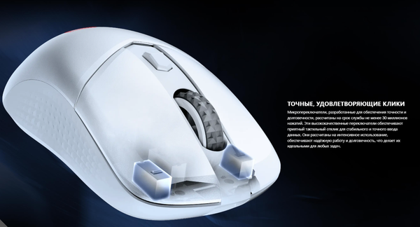 Изображение товара Мышь MSI Versa 300 W (белый)