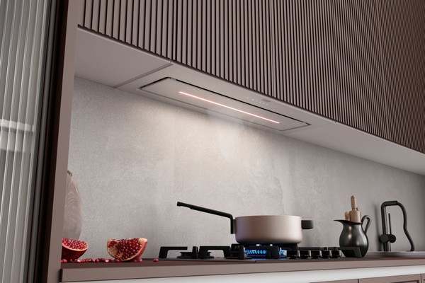Изображение товара Вытяжка скрытая Franke Luce 90 WH (305.0738.599)