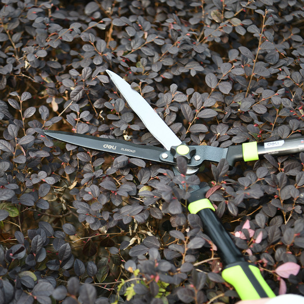 Изображение товара Садовые ножницы механические Deli EDL580421 (черный/зеленый)