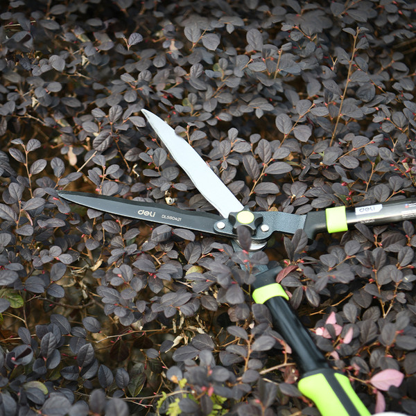 Изображение товара Садовые ножницы механические Deli EDL580421 (черный/зеленый)