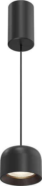 Изображение товара Потолочный светильник Maytoni P113-L12-3K-B