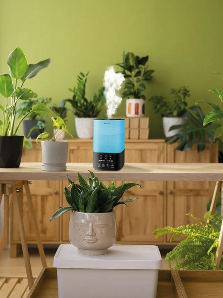 Изображение товара Ультразвуковой увлажнитель воздуха Neoclima Vision 2.5L Black