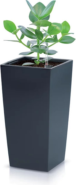 Изображение товара Кашпо Prosperplast Urbi Square / DURS325-S433  (антрацит)
