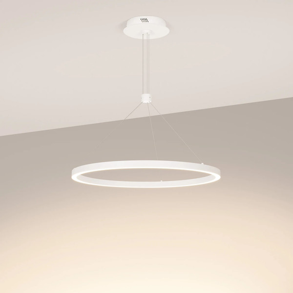 Изображение товара Потолочный светильник Arlight SP-CONGO-CAN-1-R600-36W Warm3000 WH 120deg / 046231