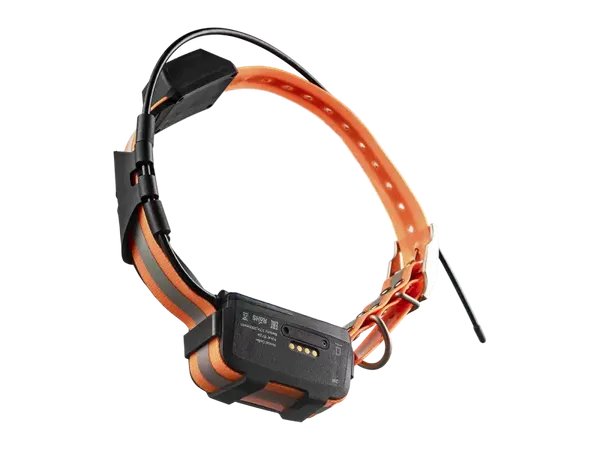 Изображение товара Ошейник Artelv GPS Tracker 2W / AGPSTRACK2W