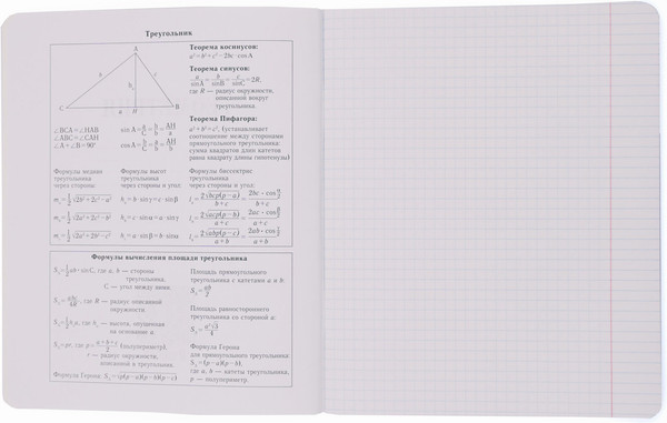 Изображение товара Тетрадь предметная Listoff Манул Манулыч. Геометрия / ТТК489318