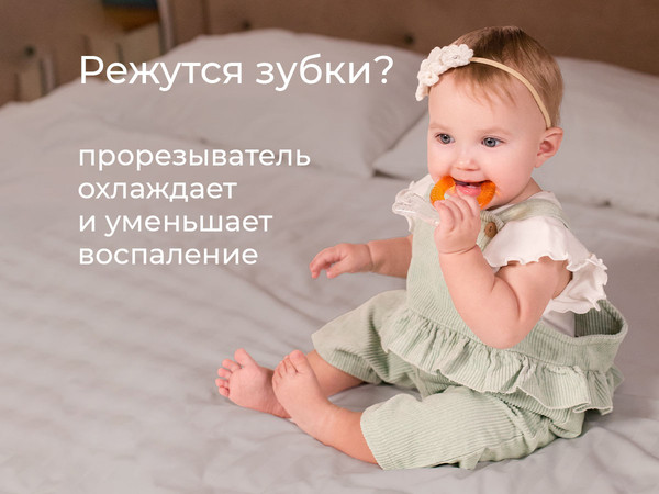 Изображение товара Набор прорезывателей для зубов ROXY-KIDS Лесные жители / RCT-238 (с охлаждающим эффектом)