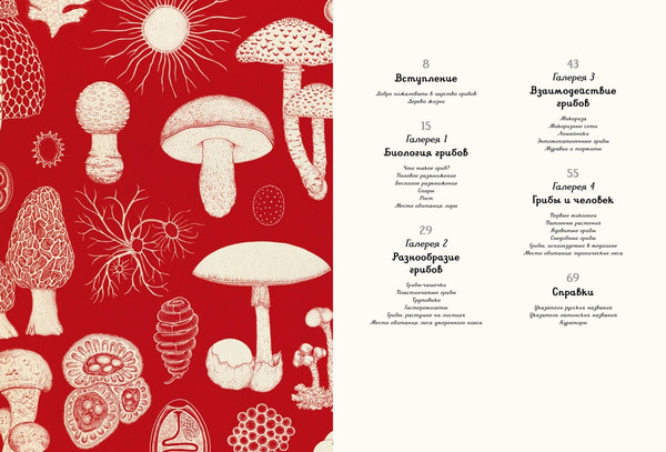 Изображение товара Энциклопедия Махаон Грибариум, твердая обложка (Хауксворт Дэвид, Сьюз Лора, Кой Пепейн)