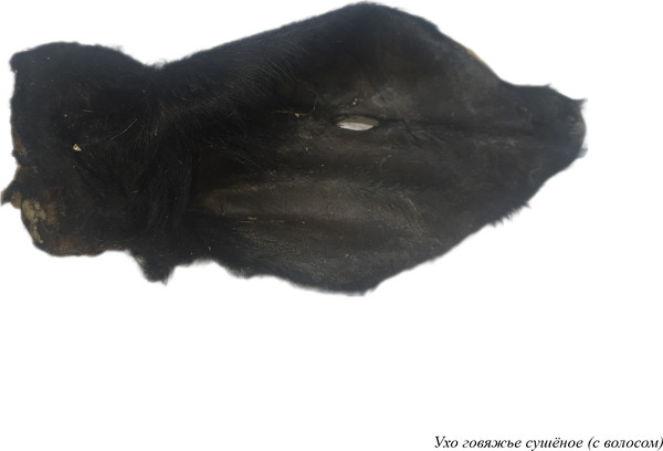 Изображение товара Лакомство для собак Mr. Нямыч Ухо говяжье с шерстью (70г)