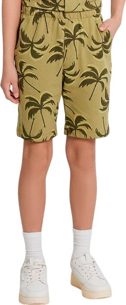 Изображение товара Шорты детские Mark Formelle 133351 (р.146-72, пальмы на кедре)