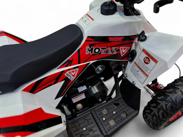 Изображение товара Электроквадроцикл Motax Gekkon E1300 (красный/белый)