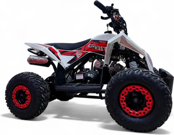 Изображение товара Электроквадроцикл Motax Gekkon E1300 (красный/белый)