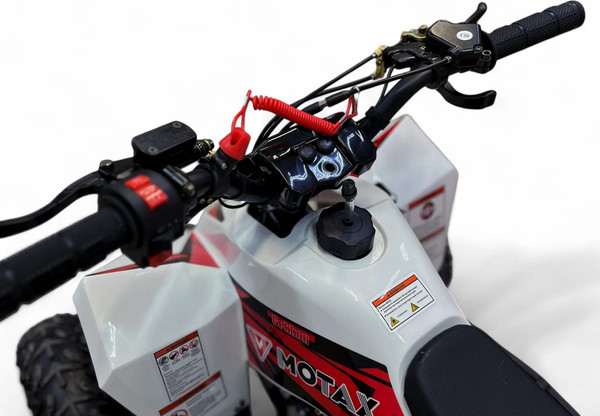 Изображение товара Электроквадроцикл Motax Gekkon E1300 (красный/белый)