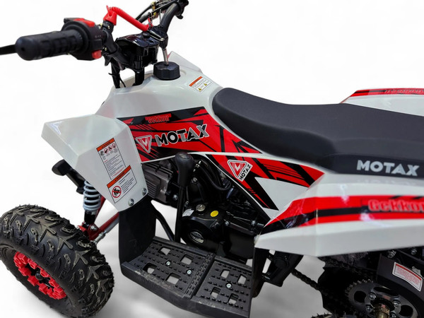 Изображение товара Электроквадроцикл Motax Gekkon E1300 (красный/белый)