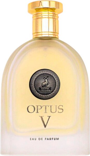 Изображение товара Парфюмерная вода Maison Alhambra Optus V (100мл)