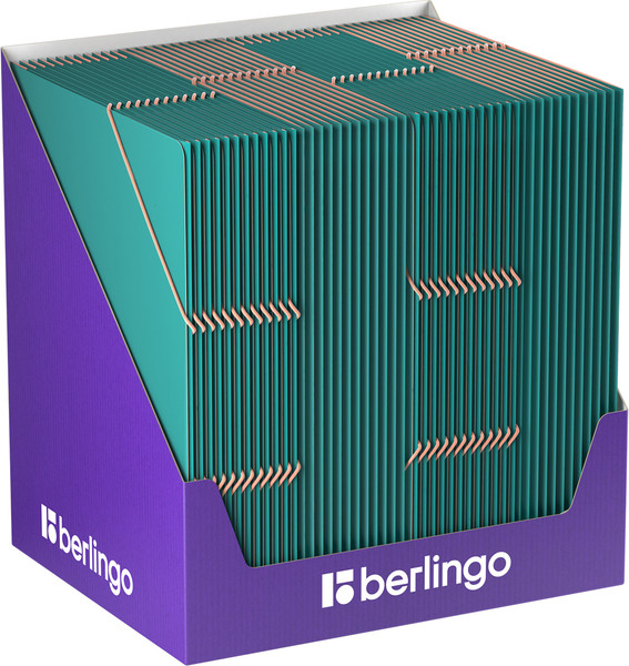 Изображение товара Папка для бумаг Berlingo Soft Touch Pro / FB4_A4931 (зеленый)