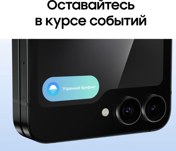 Изображение товара Смартфон Samsung Galaxy Z Flip7 FE 5G 8GB/256GB (черный)