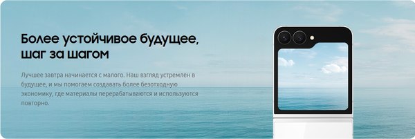 Изображение товара Смартфон Samsung Galaxy Z Flip7 FE 5G 8GB/256GB (черный)