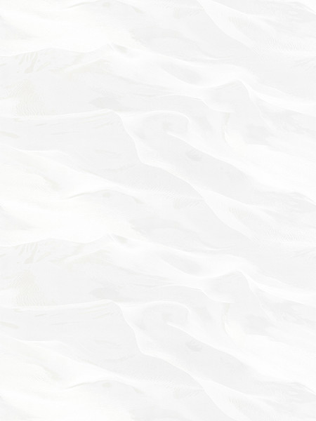 Изображение товара Виниловые обои Аспект 70654-10