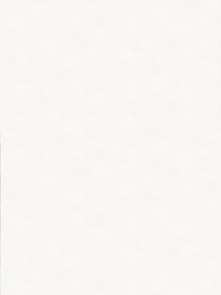 Изображение товара Виниловые обои Аспект 70655-10