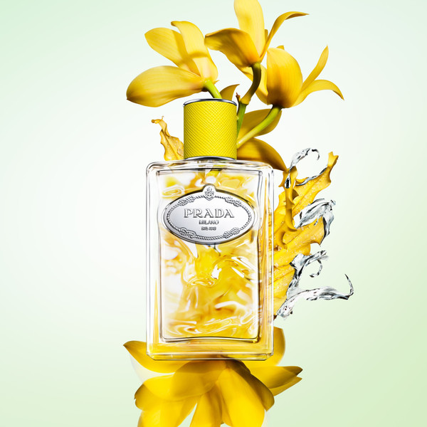 Изображение товара Парфюмерная вода Prada Infusion D'Ylang (100мл)