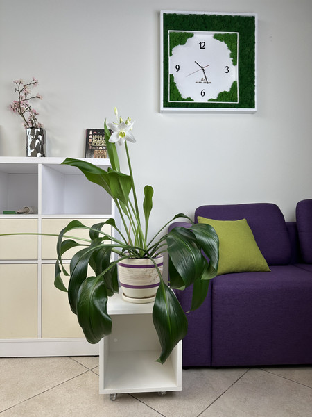 Изображение товара Журнальный столик ML Smart Group Ислочь 35x35x35см / W1200ST9 (фарфор белый)