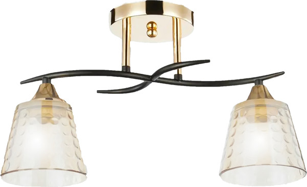 Изображение товара Потолочный светильник Aitin-Pro НПБ 02-2x60-101 / 6099/2 (золото/черный)