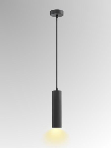 Изображение товара Потолочный светильник Zhong Lighting Limited WND19835/1 (черный)