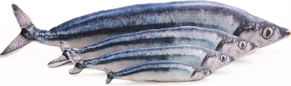 Изображение товара Игрушка для кошек КотикиСобачки Рыба Сельдь / T036611-40 (40см)