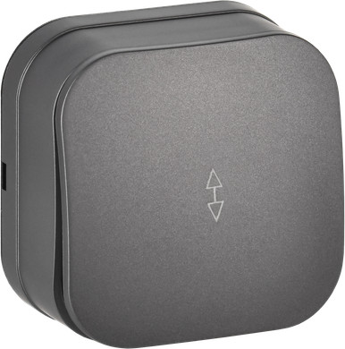 Изображение товара Выключатель IEK Glory EVH12-K46M-10 (сталь матовый)