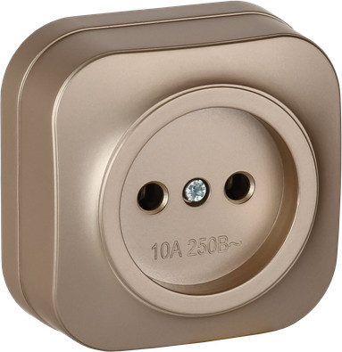 Изображение товара Розетка IEK Glory ERH10-K37M-10 (шампань матовый)