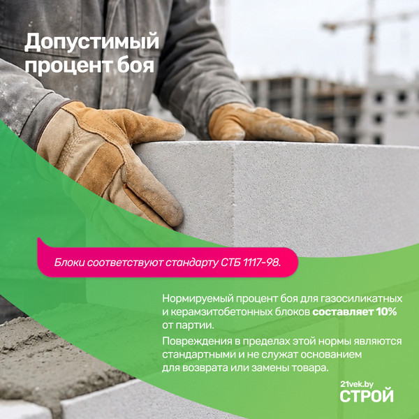 Изображение товара Блок газосиликатный Забудова 625х125х250мм D500 до 10% бой
