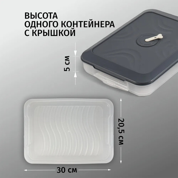 Изображение товара Контейнер Runis 300х205х80мм / 15-10 (графит)