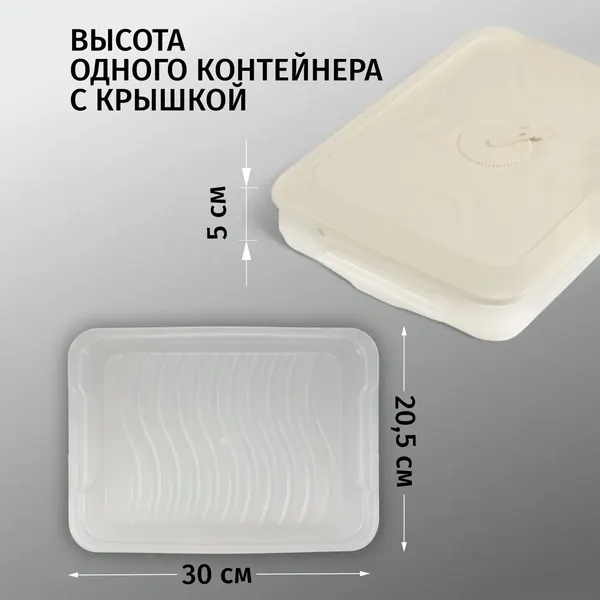 Изображение товара Контейнер Runis 300х205х150мм / 15-09 (сливочный)