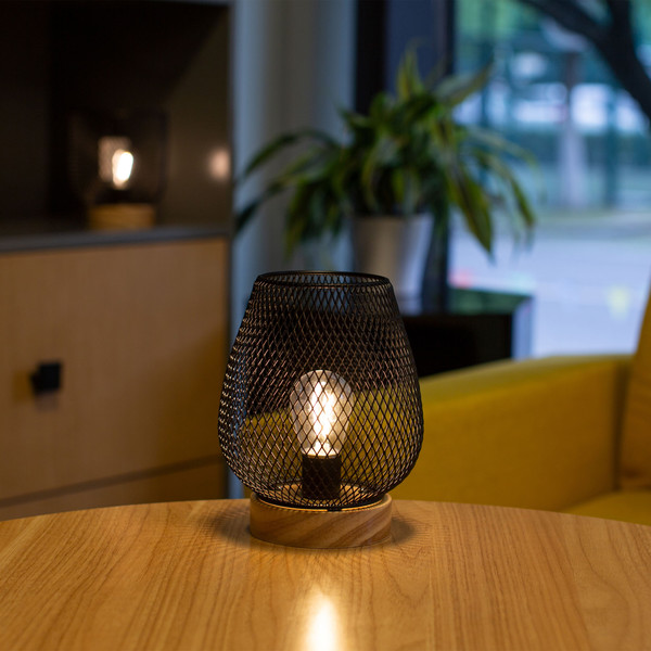Изображение товара Декоративное освещение AksHome Тип 3 Сетка 14х18см 1LED 2ААА