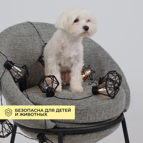 Изображение товара Светодиодная гирлянда AksHome Тип 1 Фонарики 10LED 1.65м 2АА