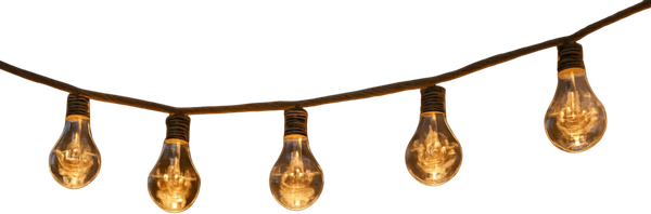 Изображение товара Светодиодная гирлянда AksHome Тип 2 Лампочки 10LED 1.65м 2АА