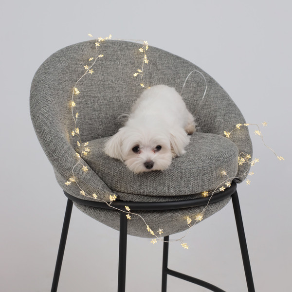 Изображение товара Светодиодная гирлянда AksHome Тип 4 Звездочки 84LED 2.15м 3АА