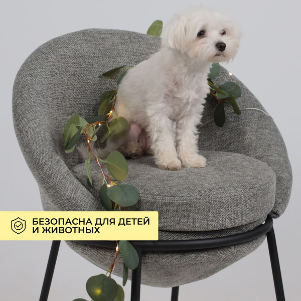 Изображение товара Светодиодная гирлянда AksHome Тип 7 Эвкалипт 20LED 1.9м 3АА