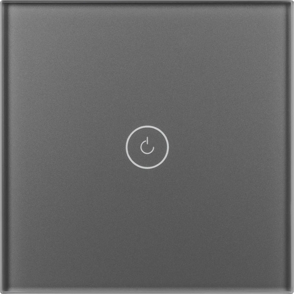 Изображение товара Выключатель Arlight SWT-OMALI-S01-ZB-GR / 050036