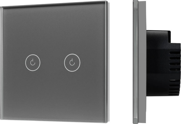 Изображение товара Выключатель Arlight SWT-OMALI-S02-ZB-GR / 050039