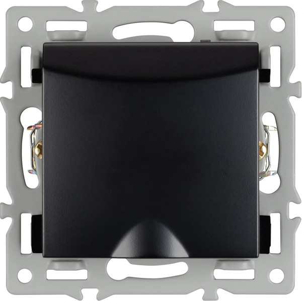 Изображение товара Розетка Arlight SCT-MCP-PL-BK / 043746